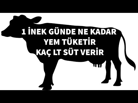 , title : '1 İNEK GÜNLÜK NE YER  , NE KADAR SÜT VERİR , PARA KAZANDIR MI #hayvancılık #inek #parakazanma #süt'