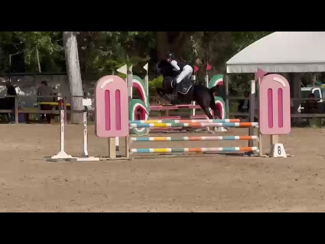 Pony da competizione 
