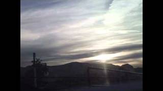 Bonobo- Kota (Animal Magic)