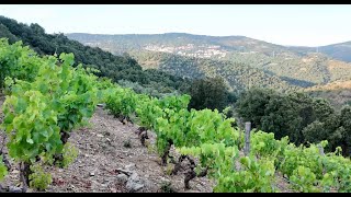 Dae Podes sa prima cantina de binu in Seui a sa mùsica de sa street band/ Bogaboxi puntada 18 istajone 3