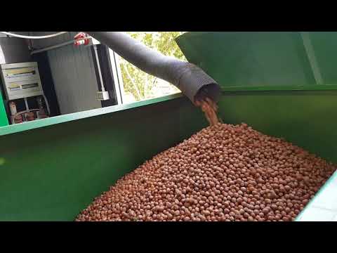 loading dryer for nuts-Giampi Machinery
