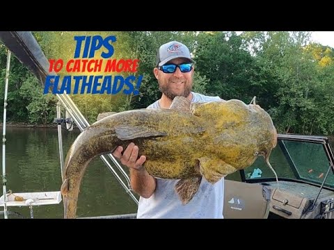 Do This and You'll Catch MORE Flathead Catfish: Volume 1
