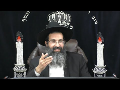 כבשה בין שבעים זאבים | הרב שי עובד | שני - פרשת לך לך - תשפד