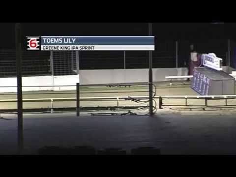 2018 RPGTV EAST ANGLIAN DERBY SPRINT - T6 TOEMS LILY