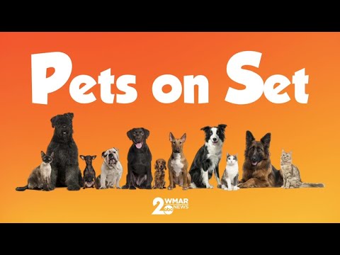 Pets on Set: Elena - YouTube