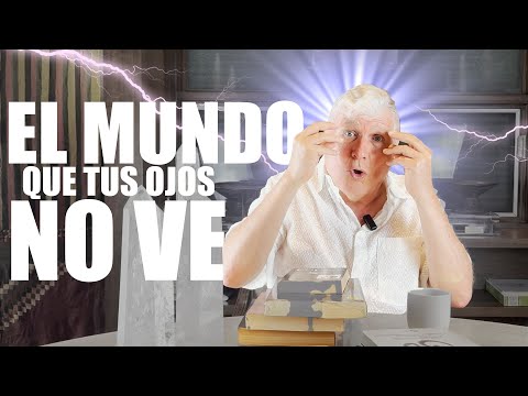 The World Your Eyes Can't See | Let's Talk About Metaphysics - Guillermo Cárdenas