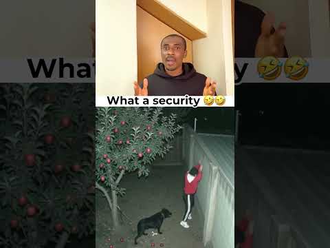 Wait for the dog so funny 🤣🤣