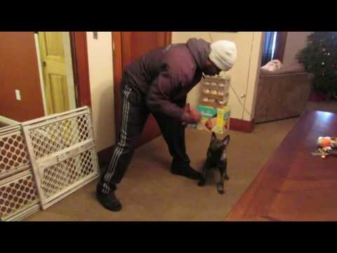 Hamptons Taku / Training 1-10-2017