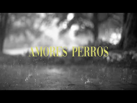 07 FER Y JULIO X DUAL TOD - AMORES PERROS ( PROD. RUMAPUNTOD)