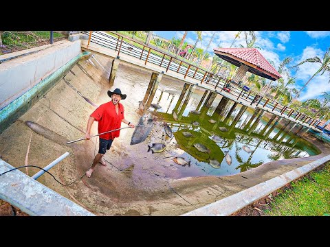 OLHA O TANTO DE PEIXE QUE TINHA NA REPRESA QUE EU ESVAZIEI