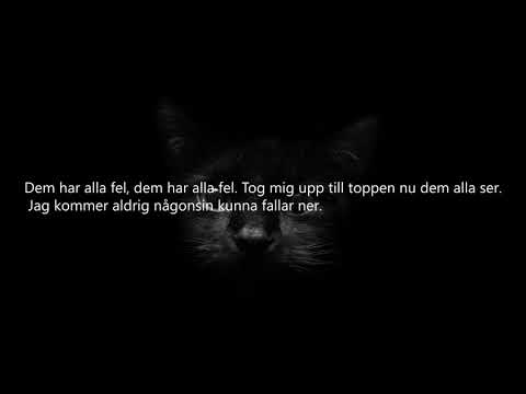 Achee Flips ft Lani Mo & Omar X - Mattsvart - Lyrics