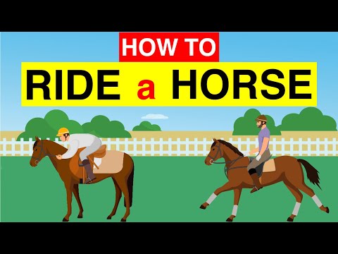 🐎 Learn How to Ride a Horse 🏇 for Beginners in Just 3 Minutes : Horse Riding Tutorial 🐴