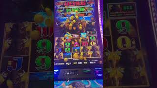 Mother lode of Buffalos   #winstarcasino#slots#lightninglink