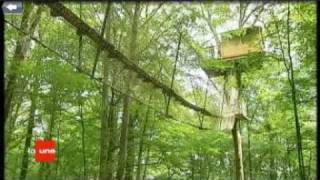 preview picture of video 'Cabane dans les arbres - Le chêne perché - Ardennes'