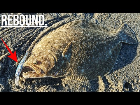 Surf Jerkbait Fluke Breakdown - Flounder Fishing 2024!