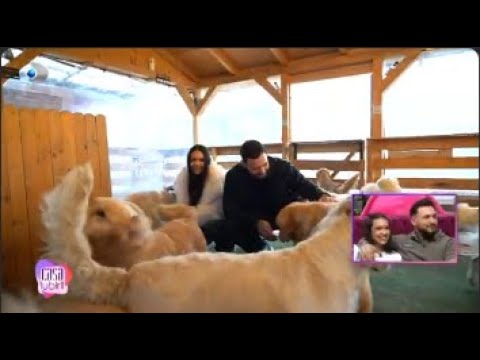 Casa Iubirii (28.11.2025) - Episodul 320 | Sezonul 4 | Editie COMPLETA