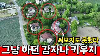 강원특별자치도 평창군 봉평면 부동산 가치 '0' | 시골에 건물 지으면 돈 다날린다 영상 썸네일