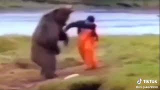 Кто сильней человек или медведь