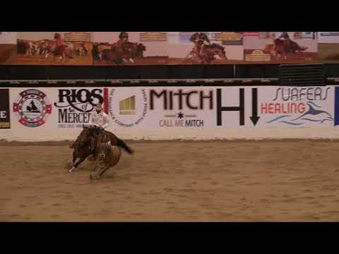 SJR Natalies Diamond Shown by Matt Koch - NSHA Futurity 2021 - (Open,  Fence)