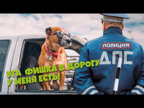 Как Напоить Собаку в дороге / ЛУЧШАЯ ПОИЛКА / Короткий обзор