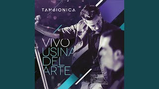 Ciudad Mágica - Vivo
