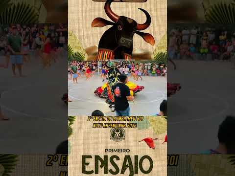 2⁰ ENSAIO DO BUMBA-MEU-BOI NOVO FAZENDINHA 2O26 EM ILHA GRANDE DE SANTA ISABEL EM PARNAÍBA PIAUÍ