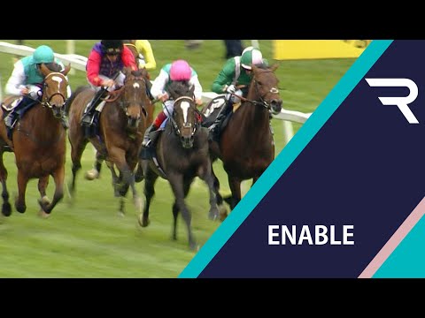 Still learning! Having her seond run, Enable has to settle for third to Shutter Speed - Racing TV