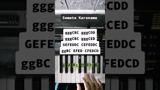Download lagu Tutorial 243 | Semata Karenamu. 🎹 #pianotutorial #suffixpiano #mariogklau #sematakarenamu #shorts mp3