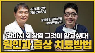 강아지에게 흔하지만 위험한 질병인 췌장염! 그 원인과 증상, 치료 방법을 알려드릴께요 :)