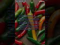 New Mexico Red and Green Chili Rap Song* #1