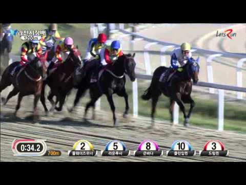 Gwacheon Mayor's Cup 2014 - Cosmos King