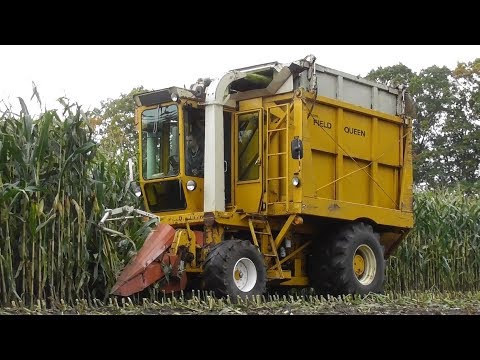 Oldtimerhakselen Dalen - Hesston Field Queen