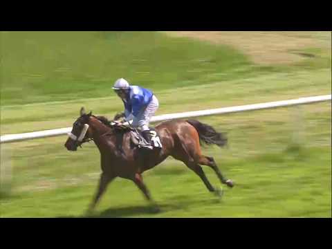 Galopprennbahn Dresden 05.05.2018 - Rennen 4