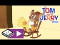 The Tom And Jerry Show The Not So Ugly Duckling Boomerang UK