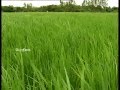 Pon Vilaiyum Bhoomi 22 09 2014 Part I