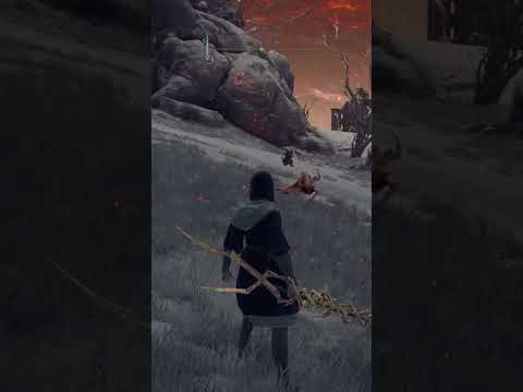 When Your Friend Grinds The Game Harder Than You 🤯 - Elden Ring #eldenring #shorts