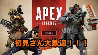 APEX　初見さん大歓迎！！