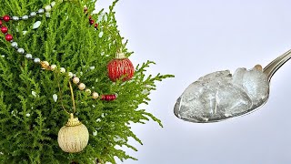Nur ein paar Würfel in die Wurzeln des WEIHNACHTSBAUMS und er bleibt für immer grün sein