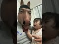 Daddy Donkey Song Shorts