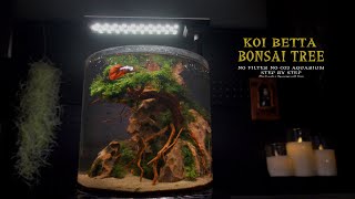 DIY Aquascape for Betta Fish l How to make Moss into a Aquatic Tree?