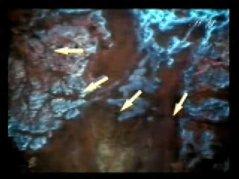 The Lost City of Iram Only Mentioned in Quran