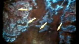 Discovery of ancient Arab city. This is where the 'Ad lived.
Surah al-Fajr 6-8"Don't you see what your Lord did with 'Ad-I...