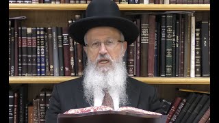 הגאון הרב אברהם יוסף שליט"א האם מותר להראות סימני אבלות בשבת חזון (הרב אברהם יוסף) - התמונה מוצגת ישירות מתוך אתר האינטרנט יוטיוב. זכויות היוצרים בתמונה שייכות ליוצרה. קישור קרדיט למקור התוכן נמצא בתוך דף הסרטון