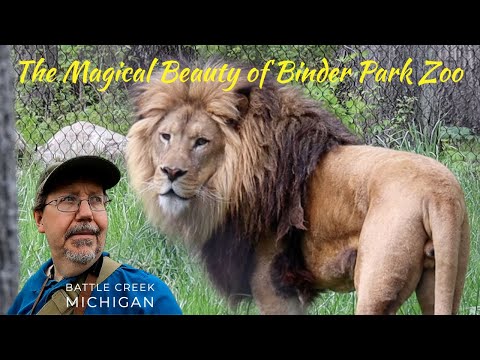 image-How much does it cost to go to the Binder Park Zoo?
