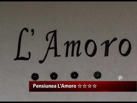 Pensiunea L' Amoro -Neagra Sarului