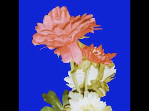 Jorrdee + Arhtrn - Option