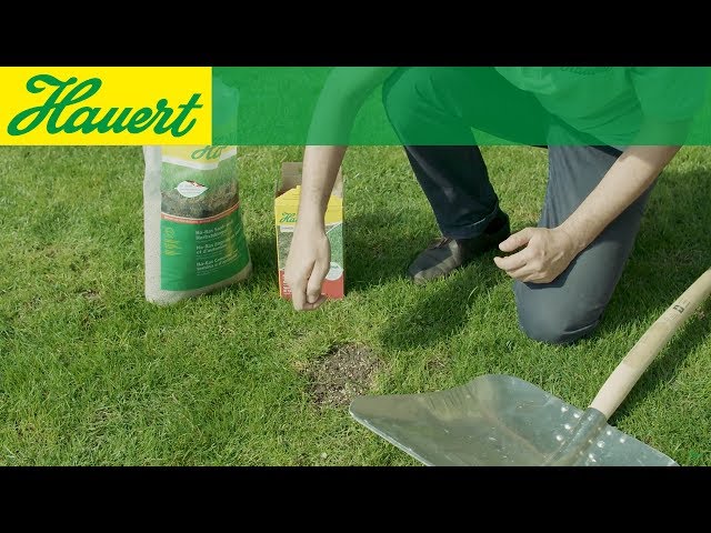 Video Teaser für Rasen Nachsaat! So wird der Rasen richtig erneuert.