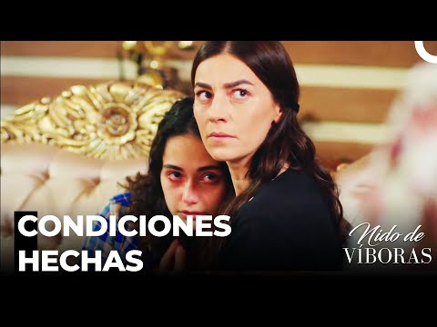 El Regreso De Defne A La Mansión - Nido De Víboras