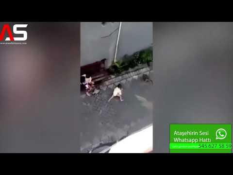 Bisikletli Maymum Çocuk Kaçırdı ! Görenler Şoka Uğradı!