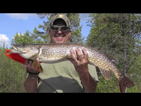 A great fishing vacation with Amik Outposts (Cherrington Lake 2012)